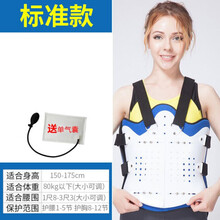 胸腰椎固定支具压缩性康复支架腰部术后护腰背脊椎柱护具医用 标准款 L