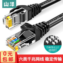 山泽 六类网线 CAT6类八芯双绞非屏蔽千兆高速网络跳线 电脑宽带家用监控成品网络连接线 六类炫黑 15米 CAH-6150
