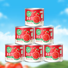 屯河 番茄丁200g*6 0添加剂新疆内蒙番茄罐头西红柿番茄酱24年8月新货