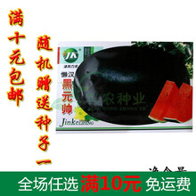 多种西瓜种子 西瓜籽大田菜园高产易种西瓜种子 水果瓜果种子 津科力丰懒汉黑元帅50粒/袋