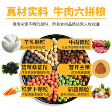 狗粮通用型40斤装5斤大型犬金毛拉布拉多萨摩小型犬泰迪成犬幼犬 牛肉味【牛肉六拼20斤】赠益生菌钙片