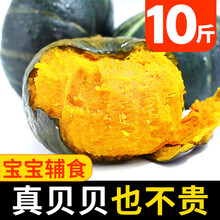 梓乐果 贝贝南瓜板栗老南瓜5斤日本甜糯婴儿小南瓜泥新鲜宝宝辅食10 6斤