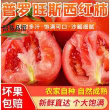 普罗旺斯番茄高山种植沙瓤西红柿自然熟新鲜水果生吃番茄 净3斤装