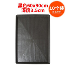 10个装鸡用接粪板鸽子笼托粪板盘养鸡育雏托粪盘鸡笼塑料粪板 黑色60*90cm【10个装】
