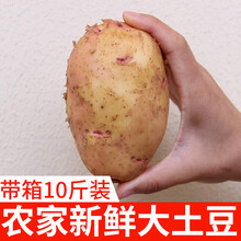 大土豆新鲜10斤云南新鲜红皮黄心土豆农家自种马铃薯