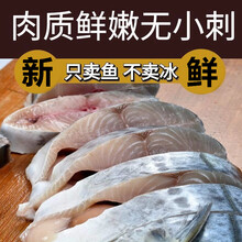 【净重无冰】马鲛鱼新鲜冷冻燕鲅鱼整条海捕鲅鱼海鲜水产批发 香妮曼特 马鲛鱼八斤【9一12条】