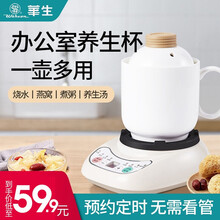 华生（washon）养生壶办公室养生杯陶瓷迷你电炖杯宿舍多功能烧水加热牛奶杯炖汤器煮粥杯小型煎药壶 0.6L养生杯【普通款】