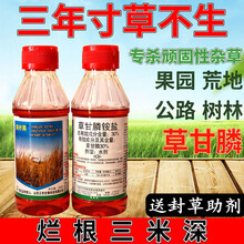 草甘膦除草剂除树一扫光杂草烂根连根死果园树百草灭草剂枯死农药 400ml