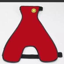 狗狗肚兜夏季狗狗肚兜围肚防水宠物雨衣柯基护肚子隔凉 大红公狗 XS号（6-10斤）