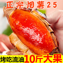 梓乐果 山东烟薯25号糖心蜜薯红薯新鲜10斤烤红薯农家沙地番薯地瓜香山芋 10斤 大果