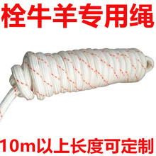 栓牛绳子的拴羊绳长10m/50m/100m米 栓羊绳子(长100m/粗10mm)