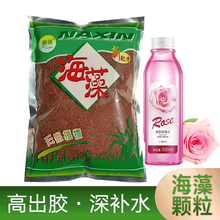 泰国大颗粒海藻面膜纯海澡泥面膜粉天然补水保湿清洁毛孔提亮肤色免洗男女通用睡眠美容面膜白娜馨面膜 1000g+500ml玫瑰水