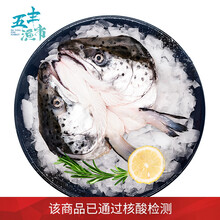 【核酸已通过】华润 五丰渔市 挪威三文鱼 鱼头 约重480-550g左右1个 袋装 速冻 煲汤 海鲜 挪威三文鱼头（2个装）