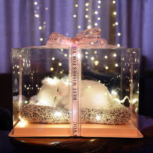 生日礼物送女生闺蜜少女心520情人节送女友朋友姐妹实用ins浪漫创意 大波斯猫礼盒27*27*18cm