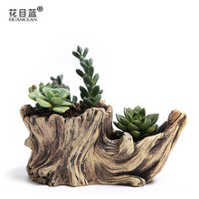 多肉植物花器 价格 图片 品牌 怎么样 京东商城 多肉植物花器 价格 图片 品牌 怎么样 京东商城