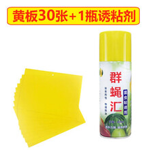 瓜果实蝇诱粘剂 昆虫诱捕剂杀果蝇药粘胶板针蜂引诱剂诱捕器 1瓶450ml诱粘剂+30张黏虫贴
