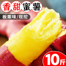 【农家鲜挖】正宗新鲜板栗红薯10斤蜜薯糖心地瓜甜黄心番薯沙地农家自种小香薯3山芋宝宝辅食当季应季 10斤 中果