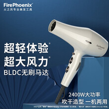 火之凤吹风机理发店专用发型师发廊用大功率超静音速干风筒6200H 米兰白
