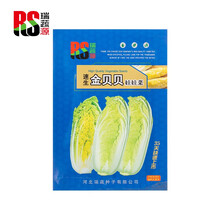 瑞蔬源 一代杂交金贝娃娃菜种子8克黄心黄叶白菜四季播高山娃娃菜种蔬菜阳台特色耐寒春季盆栽春播蔬菜种子