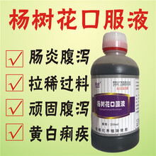 兽药杨树花口服液猪药牛羊鸡鸭拉稀肠炎黄白痢中药腹泻液体蛋鸡黄白痢细菌性肠炎止痢中药泰全兽药