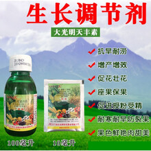 大光明天丰素0.01%24·三表芸芸苔素内酯调节生长 增产生长调节剂 100ml