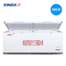 星星(XINGX) 商用冰箱大容量冰柜 卧式冷冻柜商用大冷柜餐饮后厨 865升 BD/BC-898GE 厂家直发,预售中