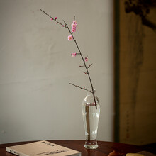 梅瓶玻璃花器透明插花花瓶禅意摆件 日式迷你小水培 水养花艺干花 观音瓶花器