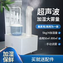 AOMEIQY工业超声波加湿器工厂车间大喷雾量净化器商用消毒蔬菜保鲜增湿器 5kg/h 手动小型不锈钢（普通款）