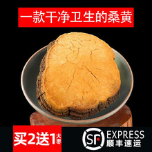 【官方旗舰】℘精选桑黄野生500g金光西藏桑树茶林芝中药材店铺大全