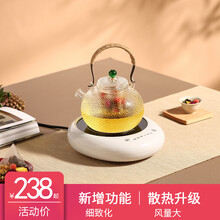 诺洁仕（LOCUS）电陶炉煮茶家用迷你功夫养生蒸煮茶器小电热泡茶机光波电磁炉配玻璃陶瓷壶 智能升级版白色茶炉+750ml锤纹壶D款
