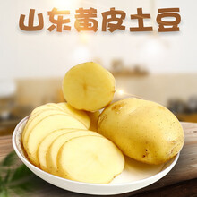 山东黄皮大土豆5斤9斤新鲜黄心大号马铃薯蔬菜洋芋 6斤