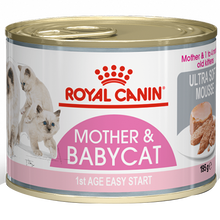 皇家猫粮 猫奶糕幼猫粮奶糕全价粮BK34（1-4月龄）英短布偶通用 奶糕猫罐头195g单罐