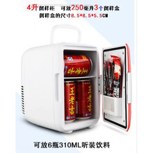 食品留样柜幼儿园 迷你节能小冰箱 小型家用保鲜冷藏柜药品柜单冷藏柜焦品 4升留样柜不送盒子 (就巴掌大小) 1x1x1cm  官方标配
