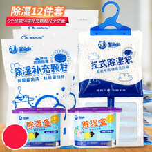 9袋除湿剂补充包重复使用吸湿盒桶衣橱柜干燥防潮剂 【12件套】6挂袋+4补充包+2空盒