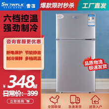 【工厂直发】雪花（SNOWFLK）双门小冰箱 冷藏冷冻保鲜 宿舍租房家用迷你双开门小型电冰箱 BCD-42A118银色 升级款【一级能效】