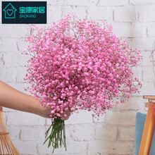 安睦 云南满天星干花花束家居装饰客厅餐桌插花小清新真花摆件摆饰 粉色满天星 干花包