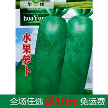 蔬菜种子大全阳台种菜香菜萝卜冬瓜种籽无土栽培秋冬四季易种耐寒 水果萝卜