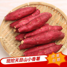 临安天目山小香薯沙地金手指香糯香薯新鲜番薯小香薯5斤 【三斤装】