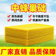蜂础 中蜂巢础蜂蜡巢础片蜂巢片中锋巢础蜜蜂蜂巢深房蜂箱润之方巢础蜂具 【优质巢础】特惠装30片/包