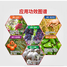 德国康朴多元微肥液钙铁肥悬浮锌液硼微量元素水溶肥料口叶面肥 康朴液钙500g