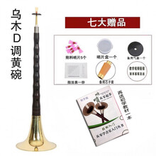 京炫（JINGXUAN)唢呐乐器d调全套演奏红木/乌木杆初学者成人唢呐 乌木D调黄碗+七+资料