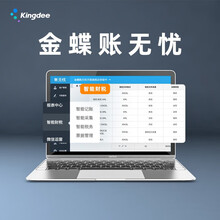 金蝶（kingdee）账无忧 金蝶财务软件 代账公司代账记账做账软件100帐套