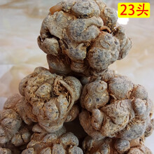 【官方旗舰】三七头20头325头文山三七头500g云南特产 5年23头23个无剪口(500G)