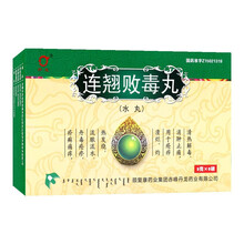 丹龙 连翘败毒丸 9g*6袋 6盒装