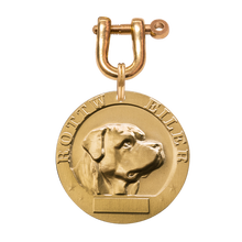 金豫达狗牌定制黄铜浮雕刻字名牌泰迪金毛拉布拉多狗狗铃铛吊坠猫咪挂饰宠物防丢身份牌定做 罗威纳/斑点犬 A