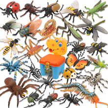 仿真昆虫模型动物玩具蜘蛛蚂蚁蝉七星瓢虫蜈蚣蚂蚱大兜虫阳彩臂金龟  昆虫动物26件套装