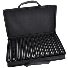 TOMBO通宝 21孔复音专业演奏口琴6621（12支装12调式）【定制】