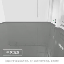 三青 无溶剂环氧地坪漆 中灰色 1l