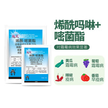 飓风70%烯酰吗啉嘧菌酯黄瓜霜霉病专用药早晚疫病农药杀菌剂 10g