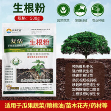 强力生根粉生根剂植物生根液大树移栽壮苗剂花卉苗木扦插育苗包邮 一袋500克生根粉